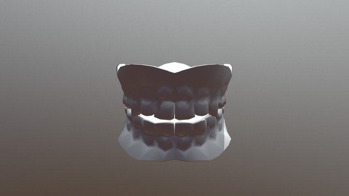 Teeth 3D Model