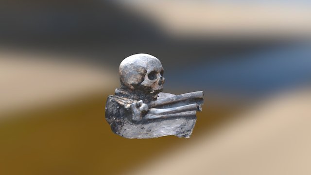 Skull 42 3D Model