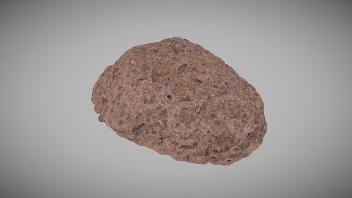 Porous Igneous Rock 3D Model