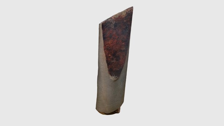 断层 3D Model