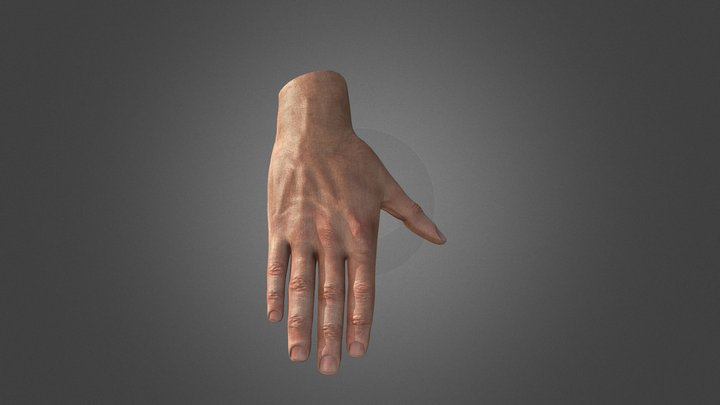 HAND 3D Model