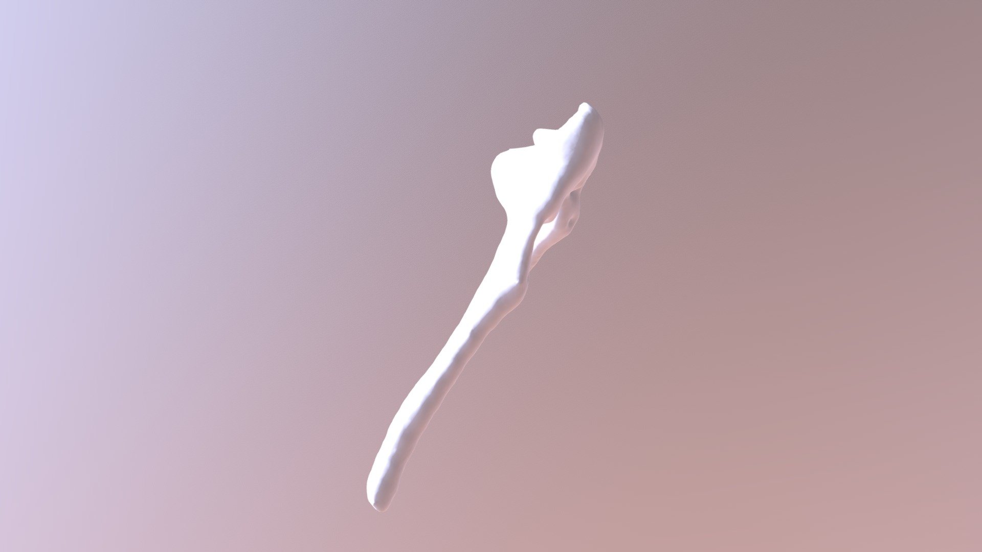 Siamang Hyoid