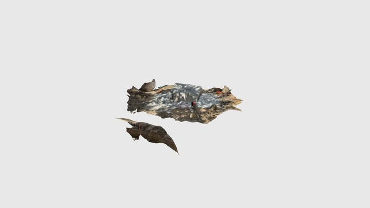 GTarnea 3D Model