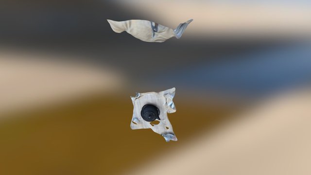 Wallace Collection Tea Pot 3D Model