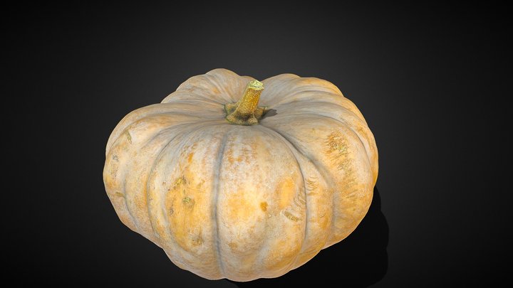 CALABAZA 3D Model