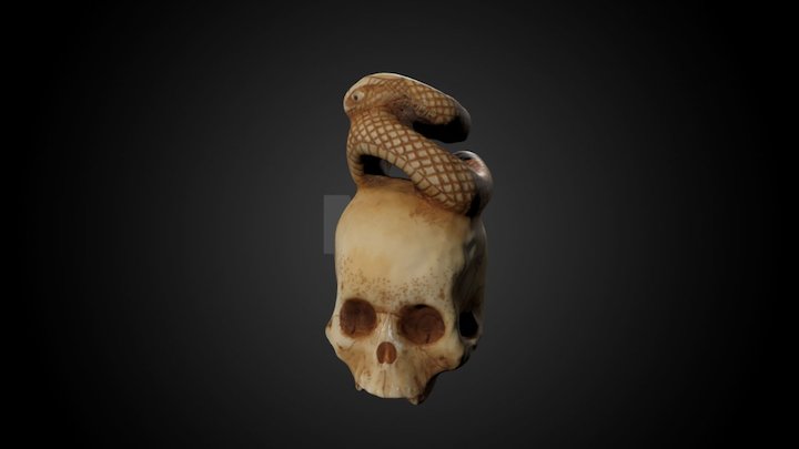 Ivory skull netsuke – Modelo 3D gratuito STL