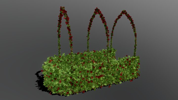 Small Garden Summer