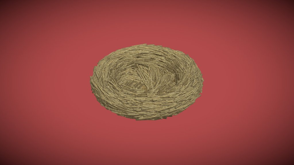 Bird Nest