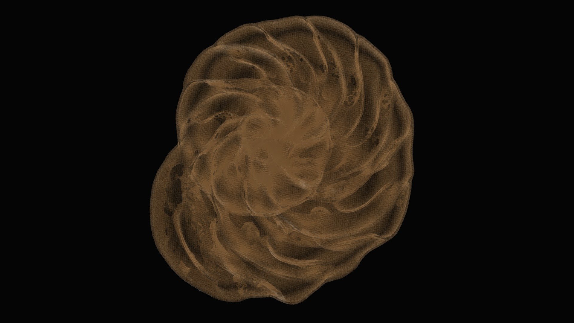 Globocassidulina
