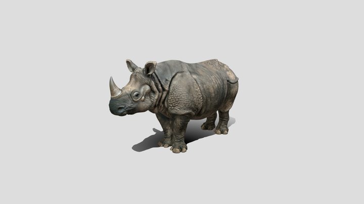 Grey Colossus rhino 🦏 3D Model Free