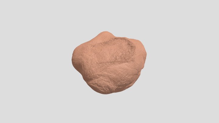 Your Mesh (1) 3D Model