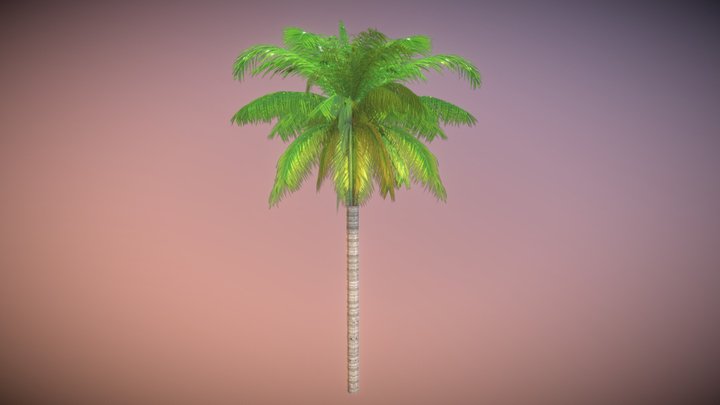 Palm Tree (Lowpoly) 3D Model