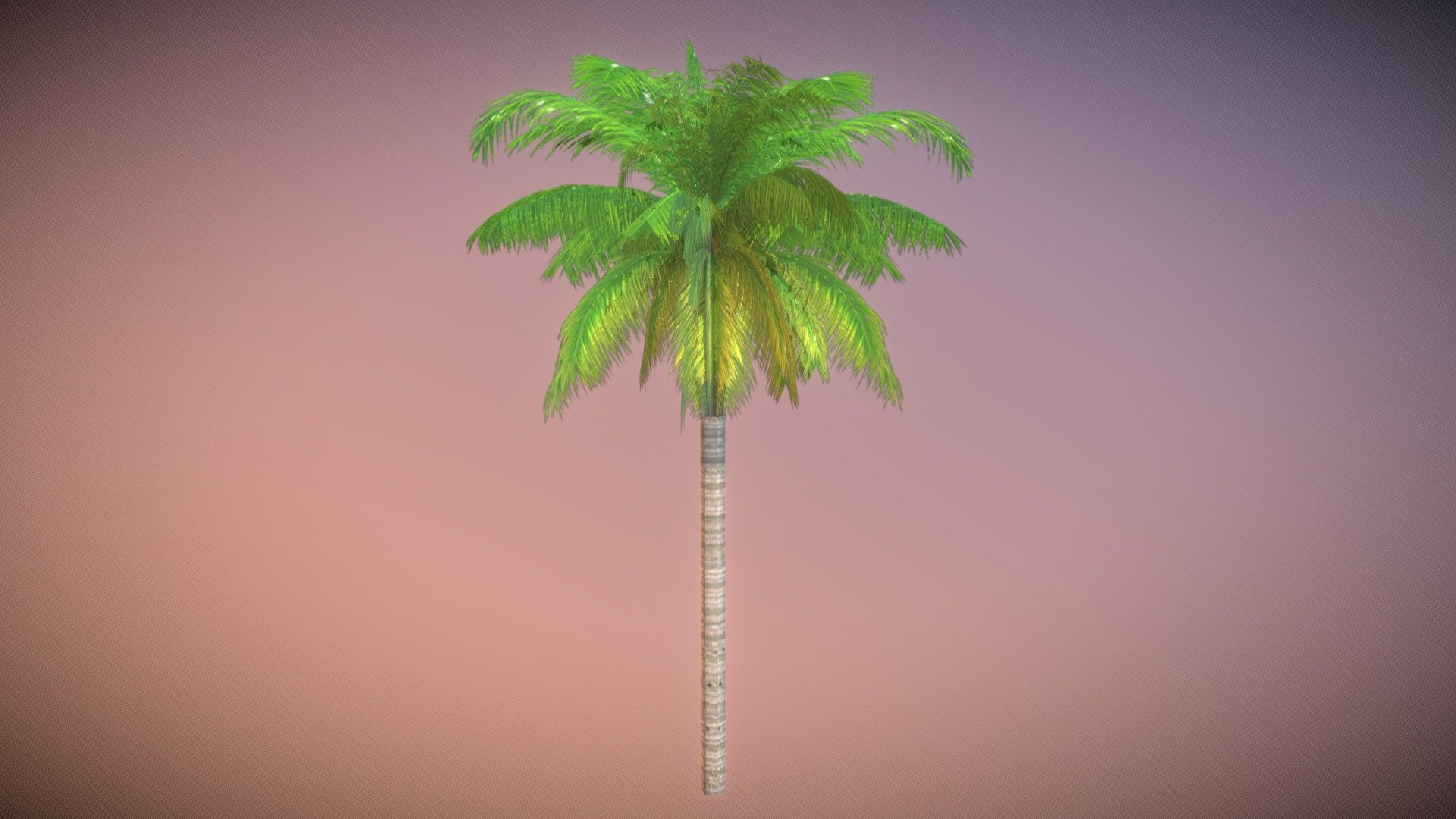 Palm Tree (Lowpoly) - Download Free 3D model by Vertex (@vertex ...