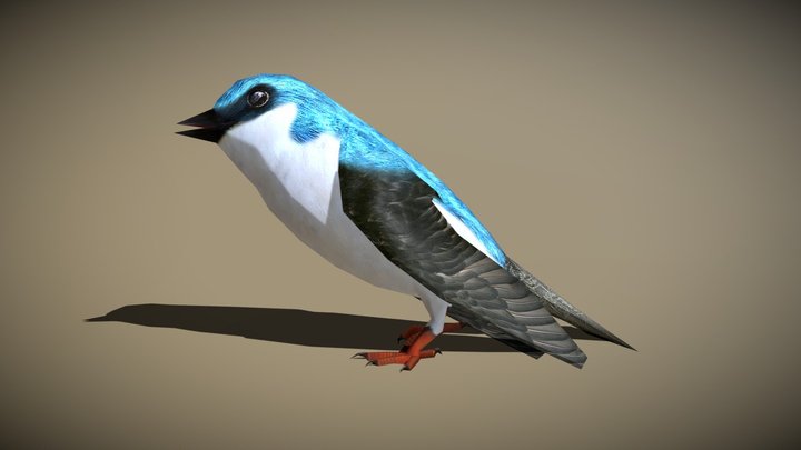 3DRT - birds and critters - swallow 3D Model