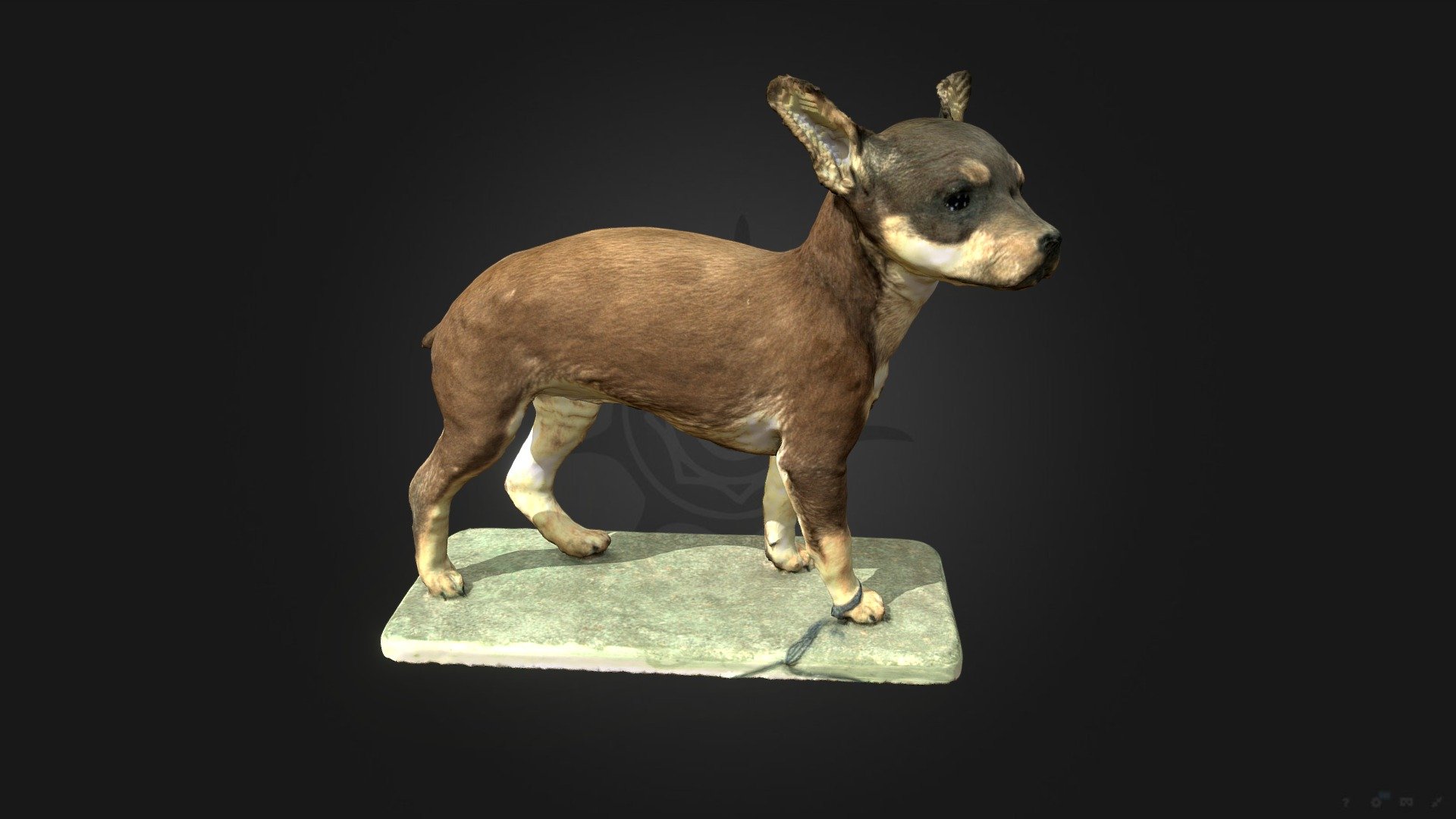 Карликовый терьер | Miniature Pinscher