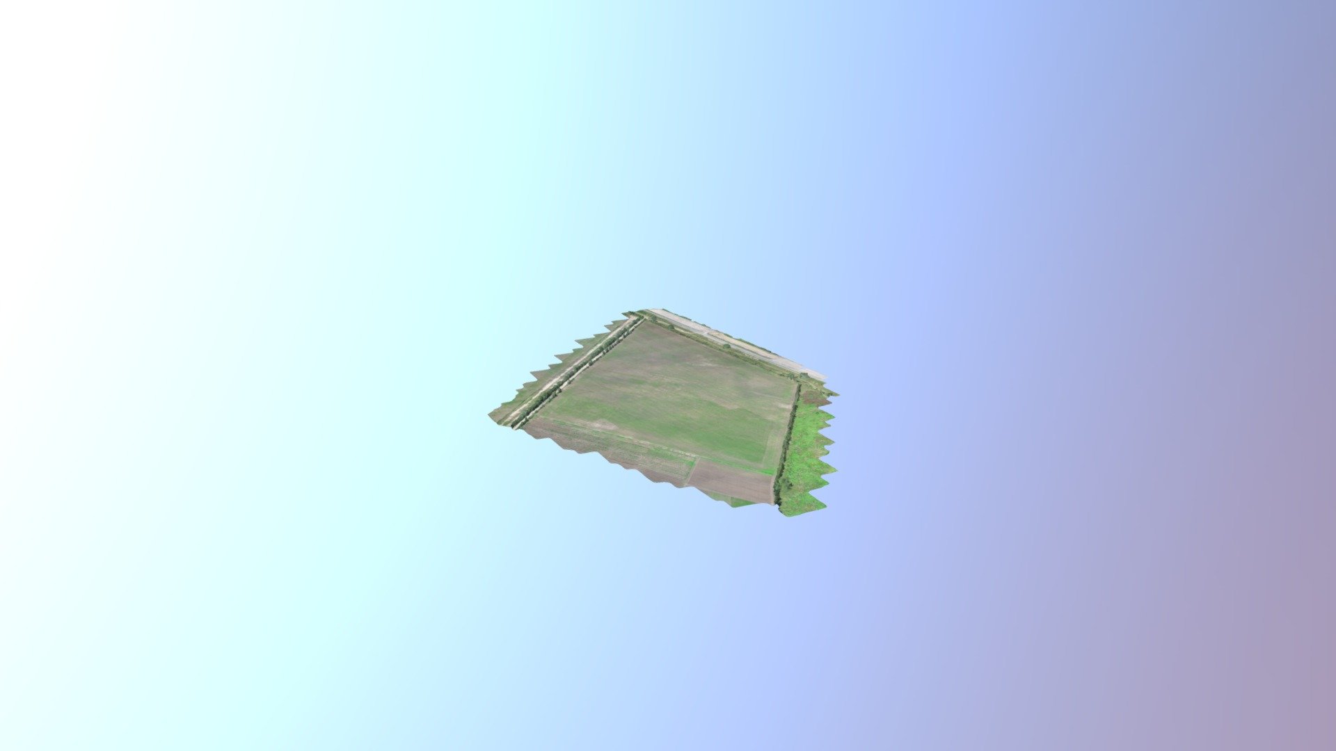 PS Lapachos Simplified 3d Mesh