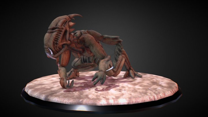 Ciress 3D Model