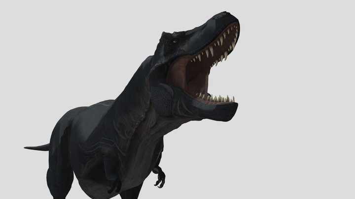 Trex animated 3D Model
