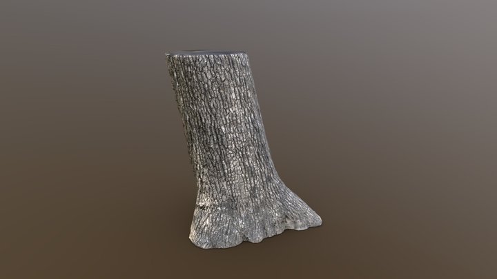 Large Southern Oak Retopologized – Free 3D Model STL