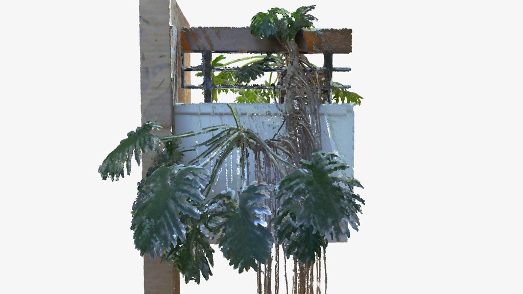 Phil the Philodendron