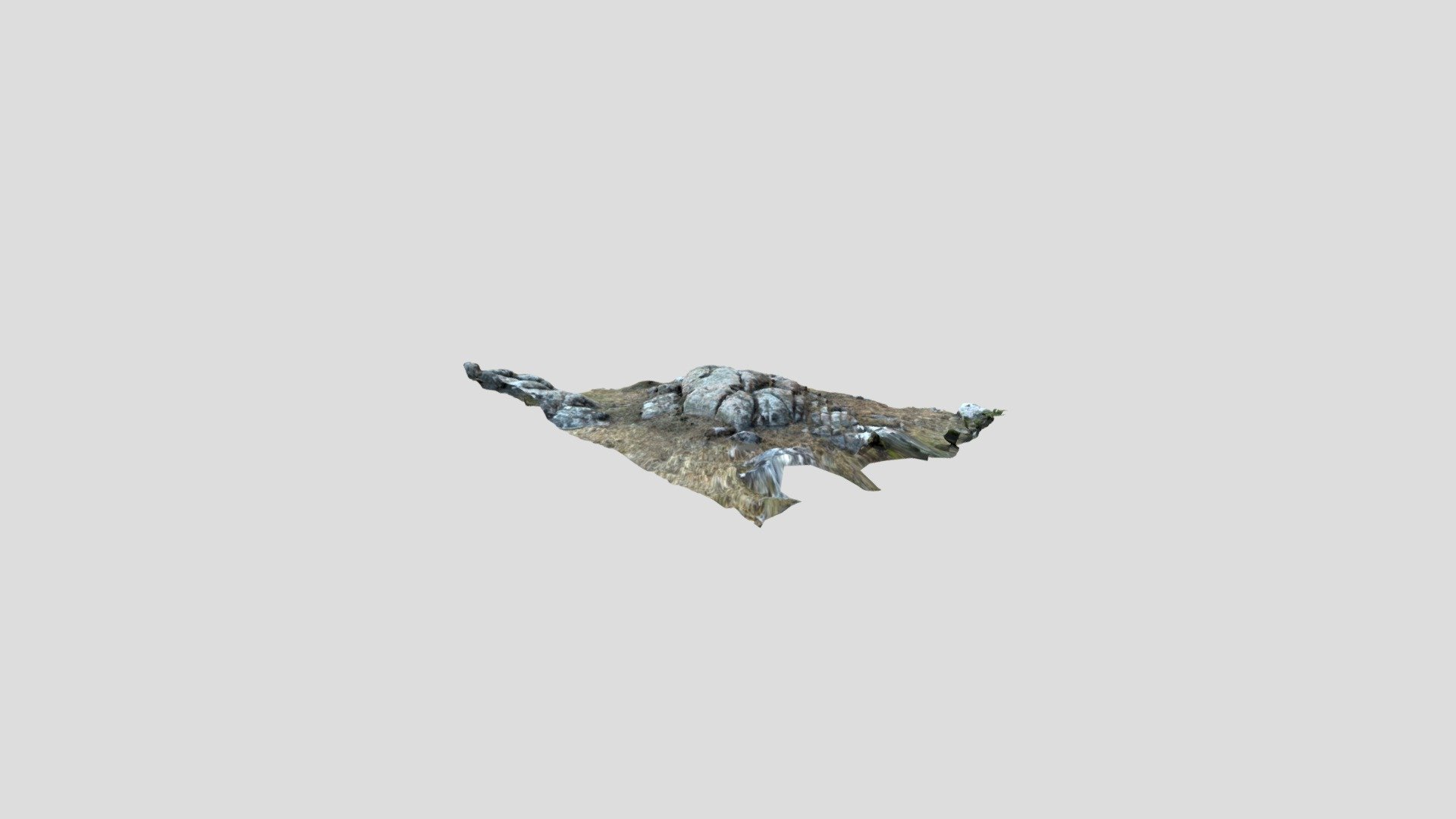 High detail rock in ground (3D scanned) - Download Free 3D model by ...