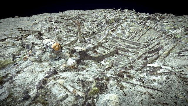 Wreck, Eastern Med, 2000 m water depth 3D Model