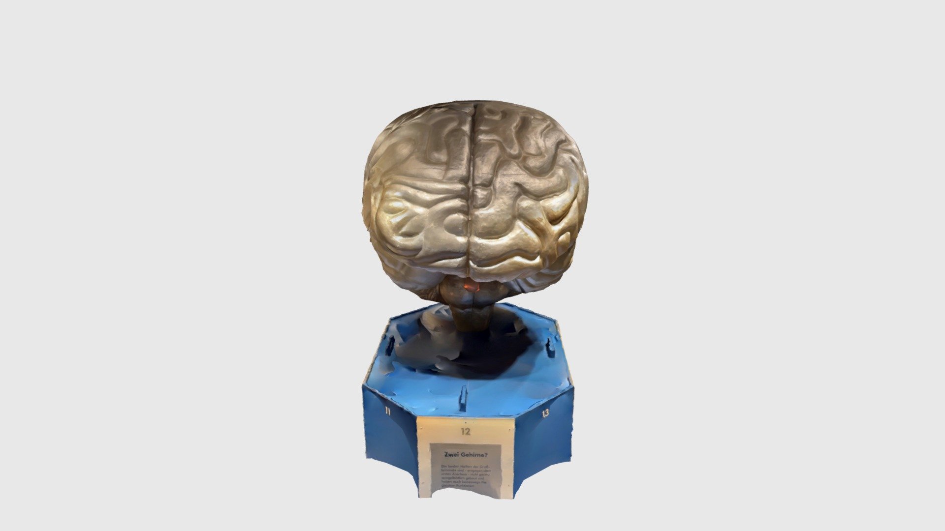 Brain - Download Free 3D model by goafreak [2d90a38] - Sketchfab
