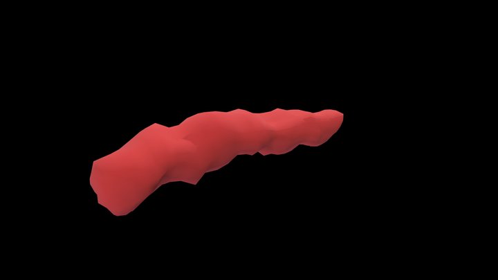 FLOPPY CHEETO 3D Model
