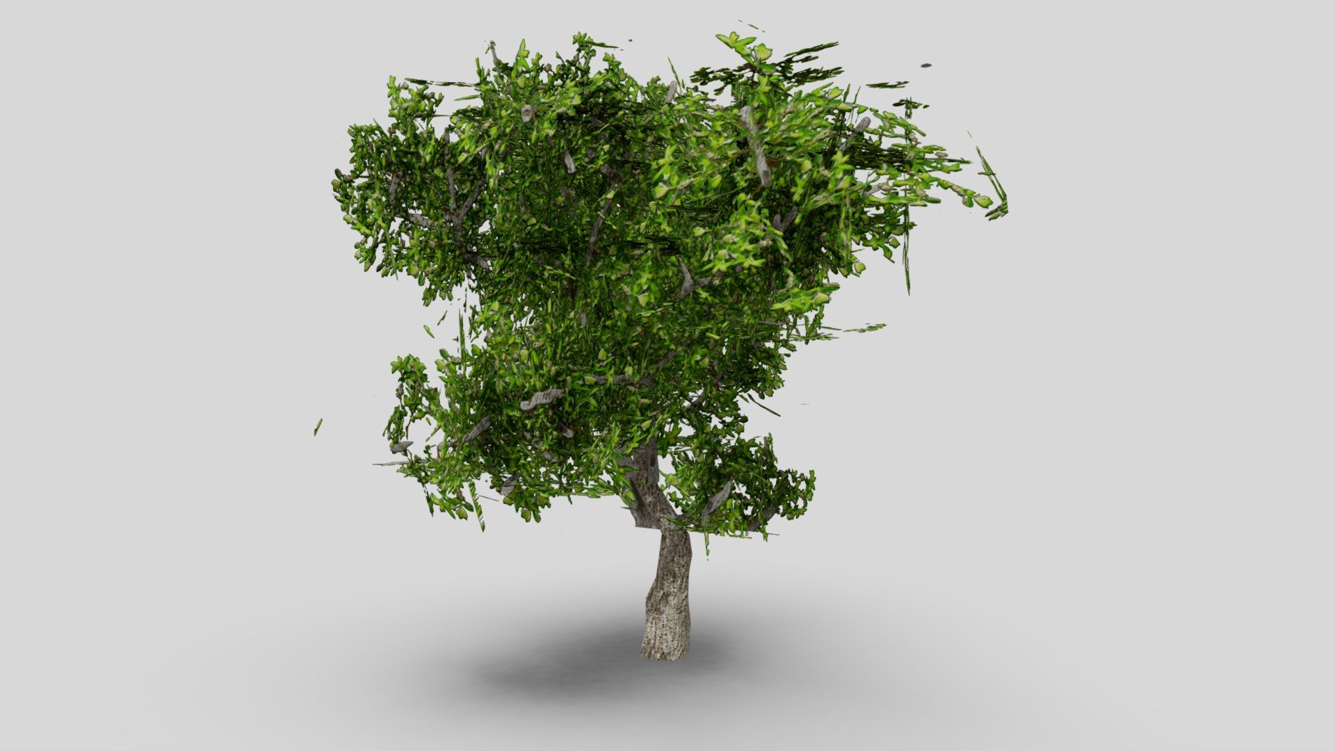Lowpoly 3D Tree (107 faces)