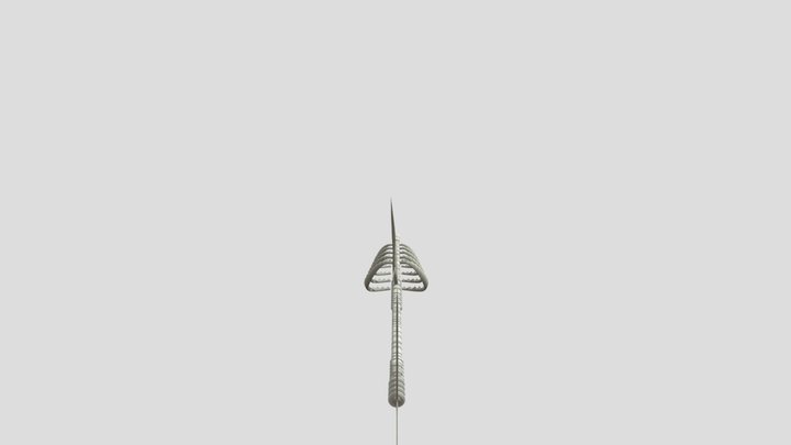 Skeleton Shark Model 3D Model