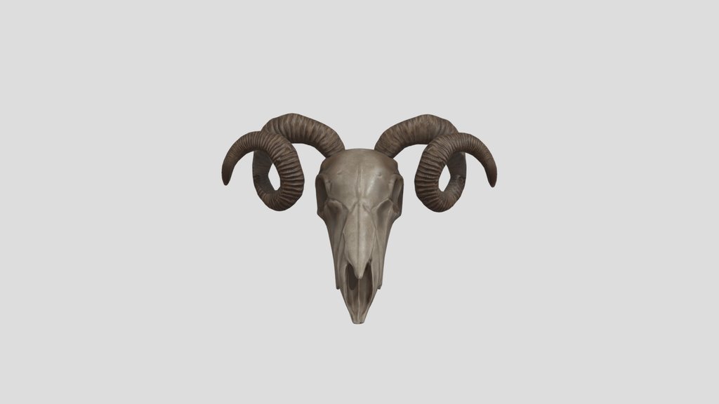 Goat Scull
