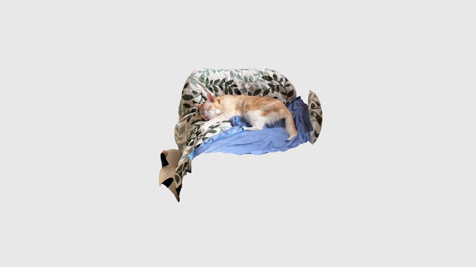 寝ているオジイ
