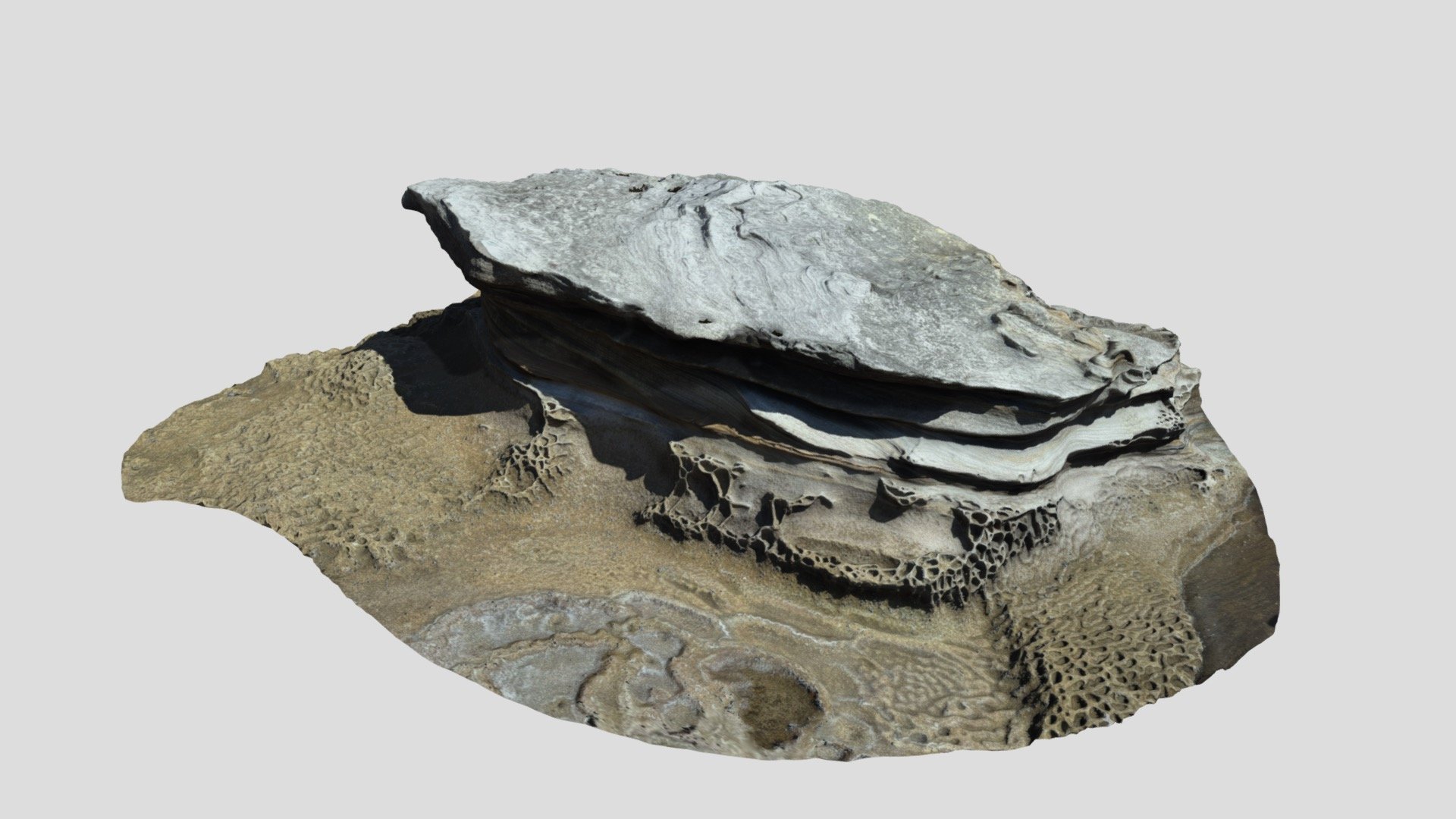 TRNIOPLUS / Giant Rock From Cronulla Beach