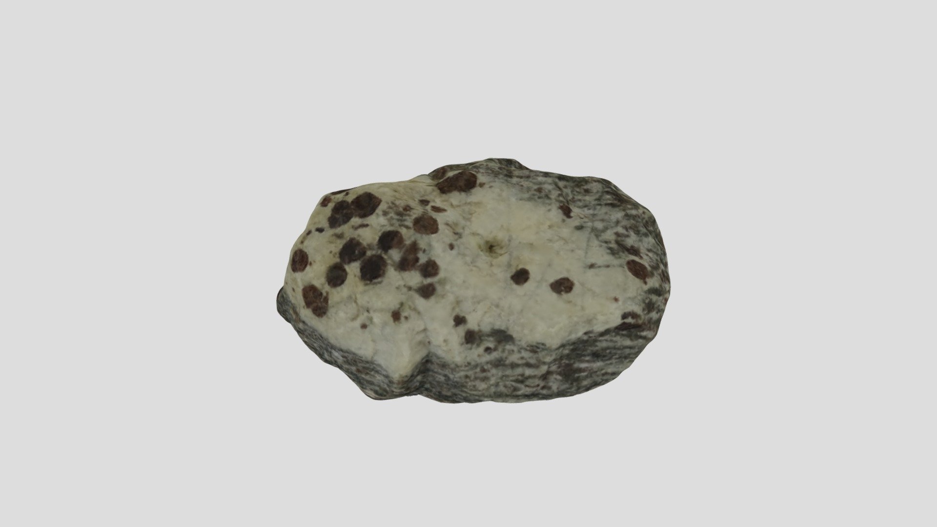 Garnets (within a schist)