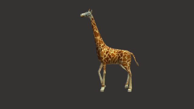 Giraffe 3D Model