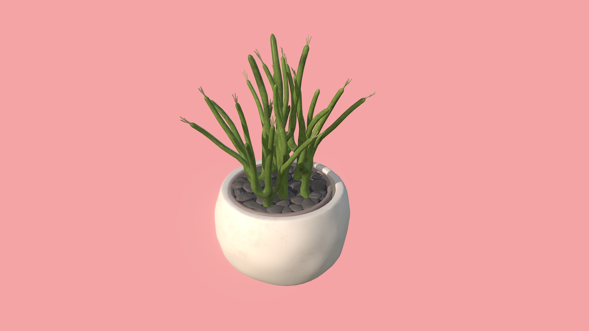 3D model Cactus Snake - This is a 3D model of the Cactus Snake. The 3D model is about a potted plant on a pink background.