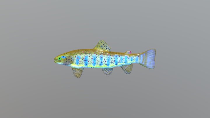 TROTA DEFINITIVA 3D Model