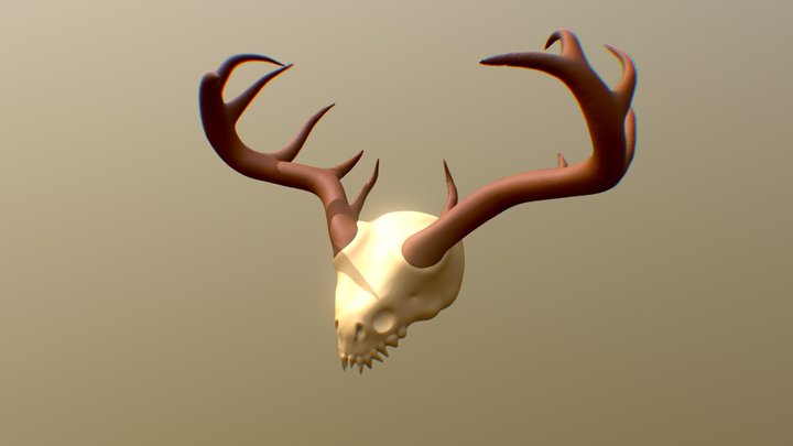 Extinct Creature's Skull - Sculpt 3D Model