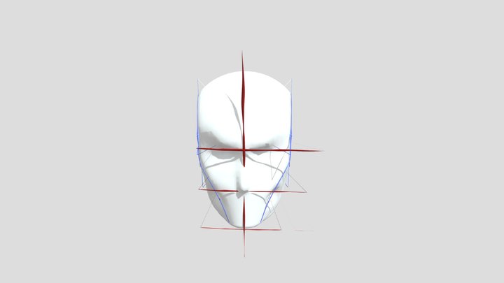Loomis Head Shading 3D Model
