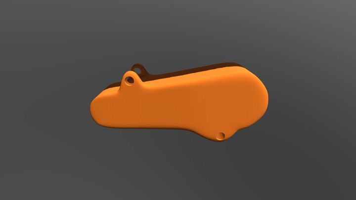 CODERA 3D Model