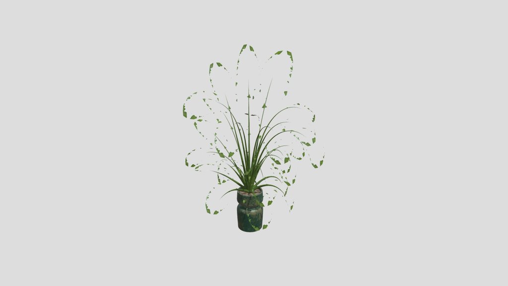 Sj Monstera 10