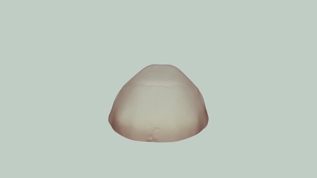 Lebka neandertalca