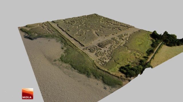 Sua 3D models - Sketchfab