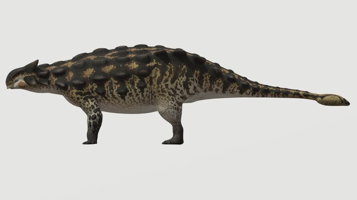 Accurate Ankylosaurus – Free 3D Model STL
