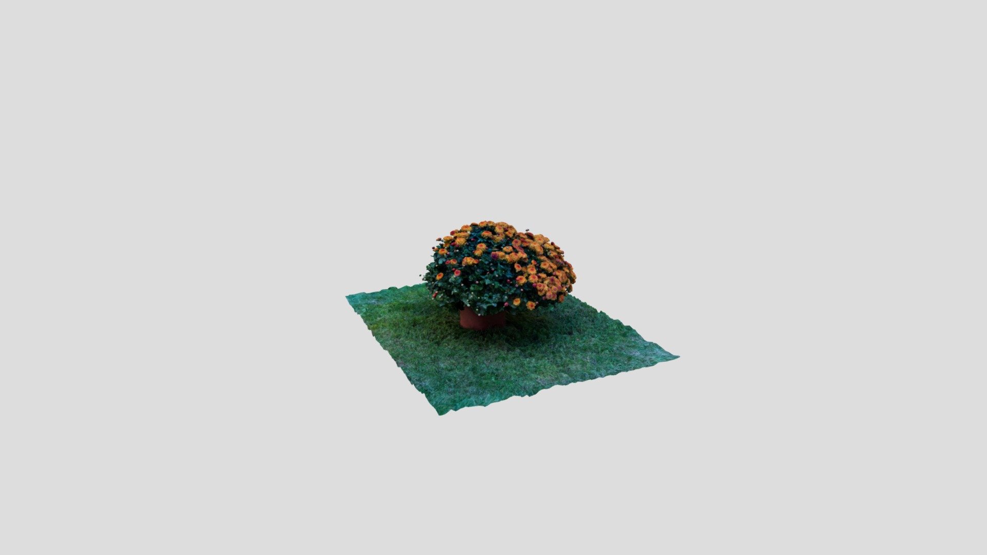 Autmn orange Chrysanthemum - Download Free 3D model by cadloop [2dafd8c ...