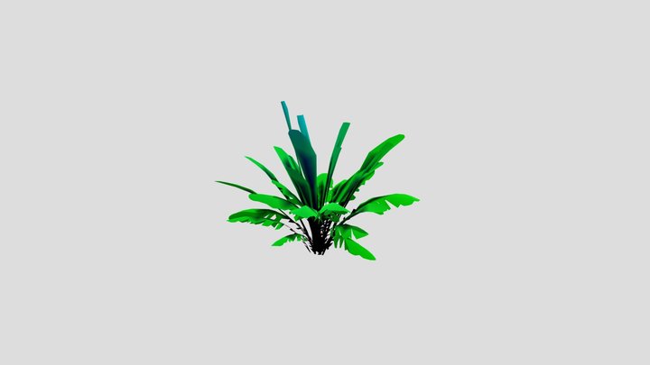 Palm Tree Small Plant 3D Model