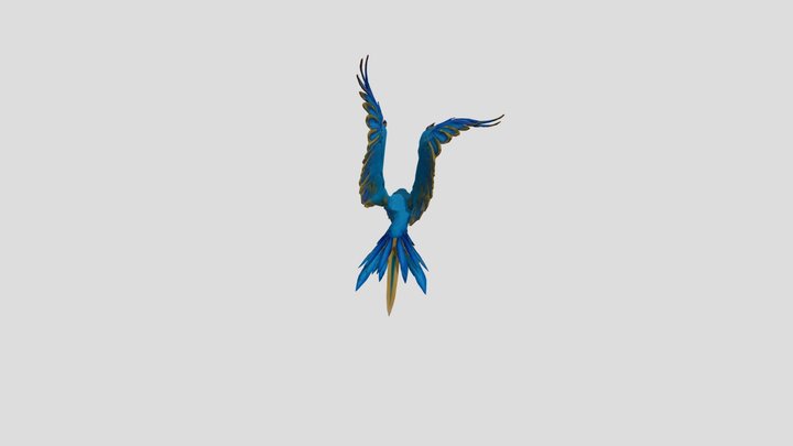 Arara_fly_embedded 3D Model