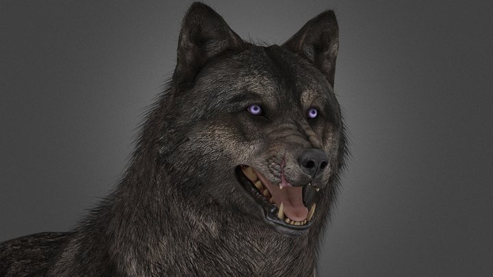 COD: Ghost's Wolf [+Puppy] 3D Model