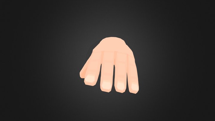 Hand Open 3D Model
