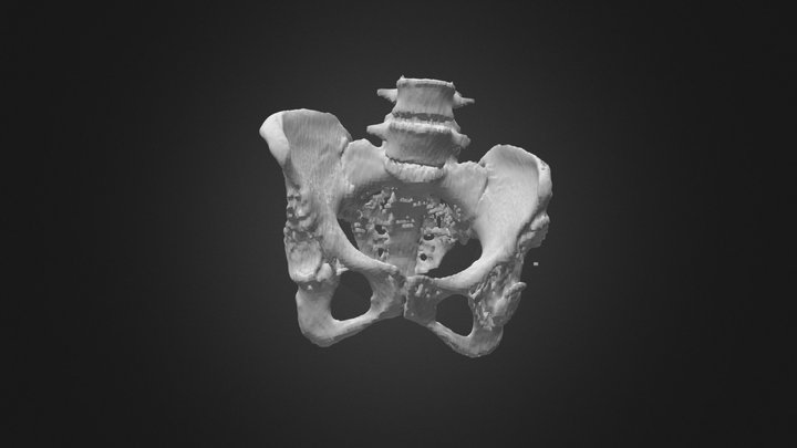 BA medence 2018.08.21. 3D Model